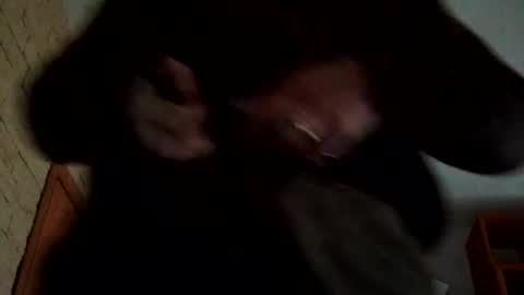 123456_belk online show from February 1, 12:26 pm