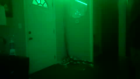 2stroke82 online show from January 13, 10:03 am