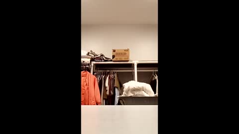 Str8 Edge online show from December 14, 12:34 pm