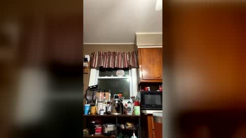 33adidas online show from March 23, 8:20 am