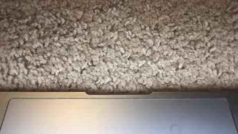 Snapshot of 3dging_sub chatting on October 9, 12:04 am 3dging_sub online show from October 9, 12:04 am