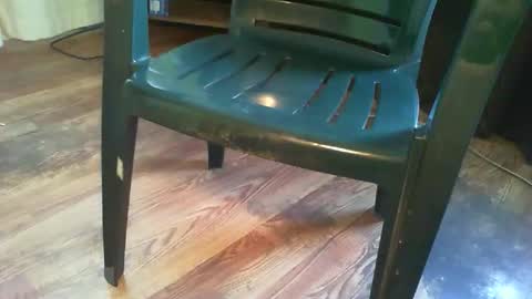 69forever453443 online show from December 1, 1:14 pm