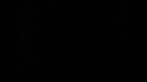 Max online show from November 13, 9:36 am