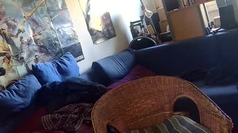 Sven online show from October 2, 7:56 am