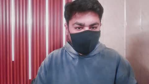 Sleepy owl online show from November 11, 8:19 am