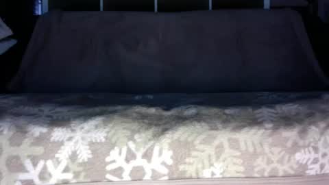 a_nice_dick_77 online show from July 13, 3:41 am