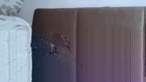 Snapshot of abdil_34 chatting on February 8, 7:49 pm abdil_34 online show from February 8, 7:49 pm