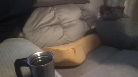 abe_froman2007 online show from January 19, 4:33 am