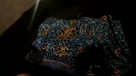 Nick online show from January 4, 2:14 am