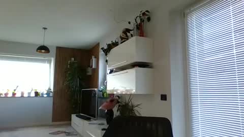 rey ale84 online show from December 20, 11:10 am