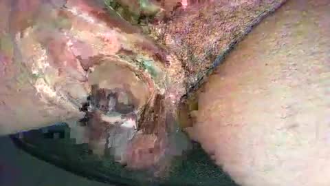 Alex online show from January 16, 3:37 pm