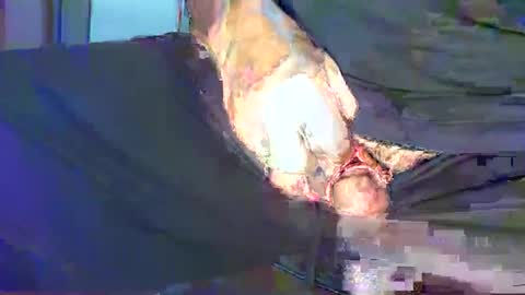 Alex online show from January 28, 12:15 am