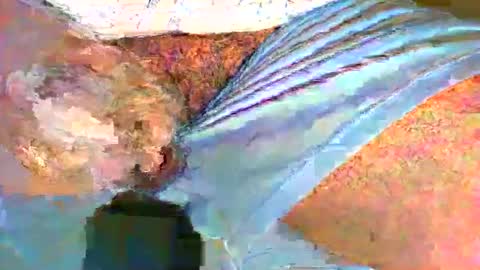 Alex online show from January 9, 1:27 pm