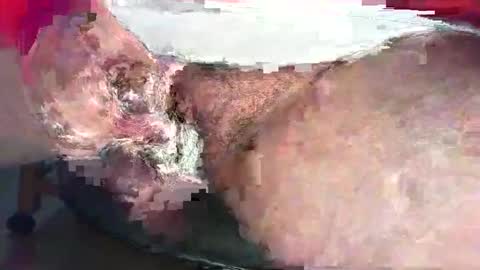 Alex online show from September 15, 2:07 pm