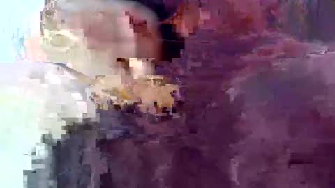 aliuno123456789 online show from February 14, 11:05 am