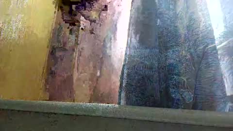 Snapshot of allwolf0323 chatting on September 30, 4:54 pm allwolf0323 online show from September 30, 4:54 pm