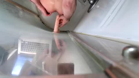 Snapshot of andybadass chatting on March 10, 12:38 pm andybadass online show from March 10, 12:38 pm