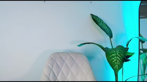 andy palmer online show from November 6, 11:46 am