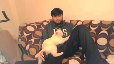 Deimos online show from December 15, 4:09 am