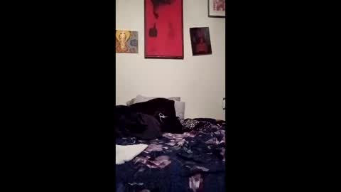 anthony51210 online show from April 6, 11:00 am