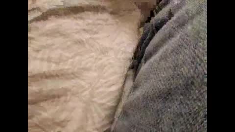 Daddy online show from November 17, 8:56 pm