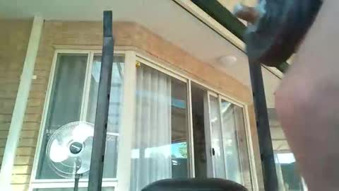 Appletree online show from January 11, 2:26 am