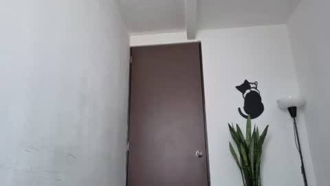   online show from July 15, 1:18 pm