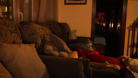 Troy online show from January 15, 6:08 pm