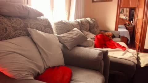 Troy online show from February 9, 9:47 am