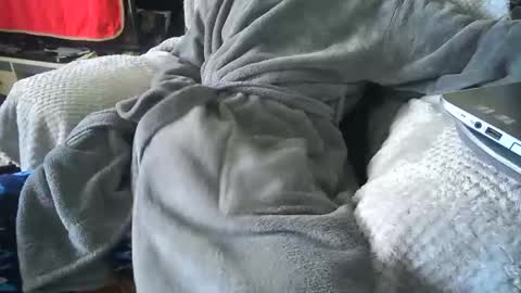 John online show from January 28, 10:45 am