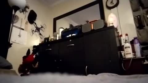 askme2shou online show from November 27, 9:35 am