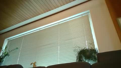 asusandy online show from February 28, 1:14 pm