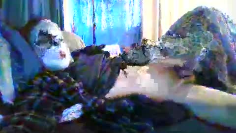 Aussiecockpumper76 online show from June 11, 3:48 am