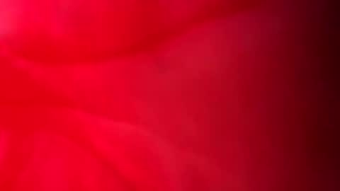 bi steel online show from May 21, 11:59 am
