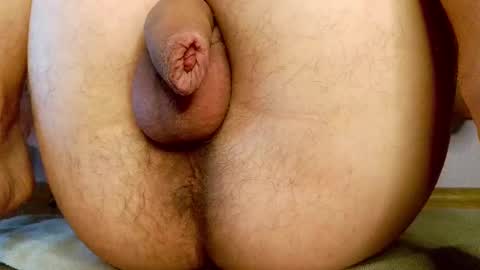 Din online show from February 14, 7:38 am