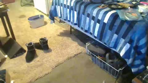 StillPoPimpin online show from December 27, 4:36 am