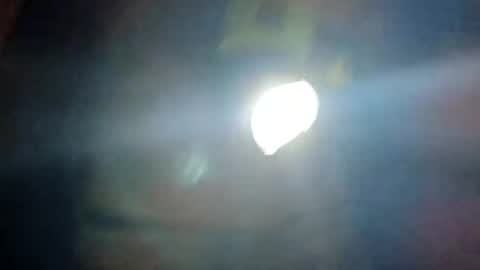 ballshanginglowaf online show from October 19, 10:51 am