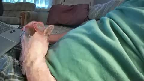 Snapshot of bcema2 chatting on December 27, 10:48 pm bcema2 online show from December 27, 10:48 pm