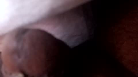bcfalcon69 online show from July 2, 5:46 am