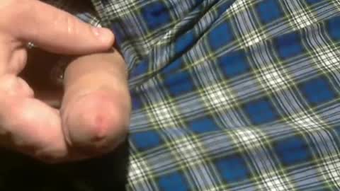  Reservoir Dogs online show from January 15, 6:51 pm