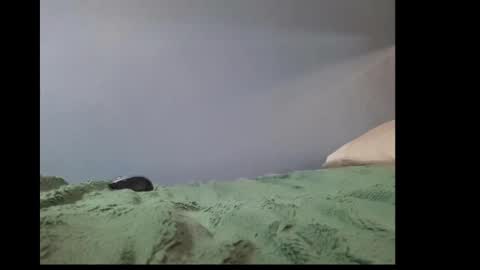 beobenshauna online show from January 2, 10:37 am