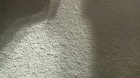 Snapshot of bgf32054 chatting on March 12, 4:41 am Bigfish123 online show from March 12, 4:41 am