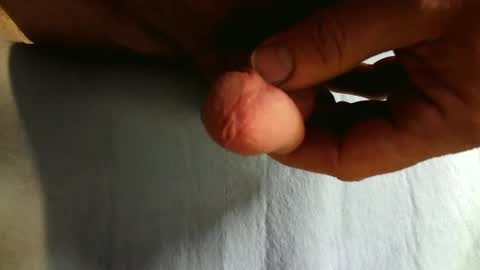 big7mushroom online show from February 13, 5:54 pm