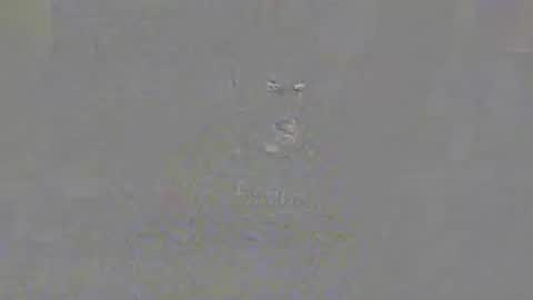 bigcok35spain online show from December 13, 8:26 pm