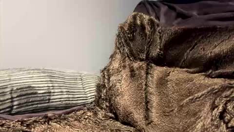 Snapshot of bigd_2025 chatting on October 24, 10:44 pm BigBoi online show from October 24, 10:44 pm