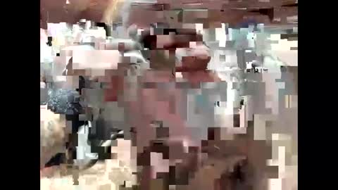 Snapshot of bigdaddy1231995 chatting on September 15, 6:42 pm BigDaddykodack online show from September 15, 6:42 pm