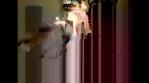 bigdaddydongarlets391292 online show from November 30, 11:56 am