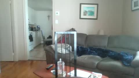 bigdeer581917471 online show from February 2, 5:48 pm