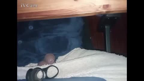 Big online show from March 7, 4:45 am