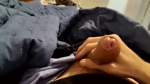 bigdongfountain online show from March 15, 5:41 pm